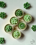Dune Bloom Succulent Tea-Light Candles