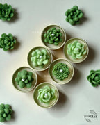 Dune Bloom Succulent Tea-Light Candles