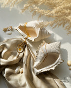 The Cove Shell Trinket Dish